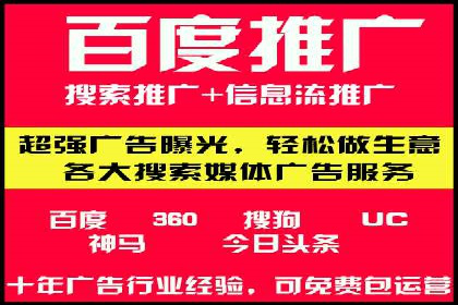 成功案例：网络推广与竞价广告的完美结合